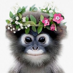 Meet your Posher, Wendy